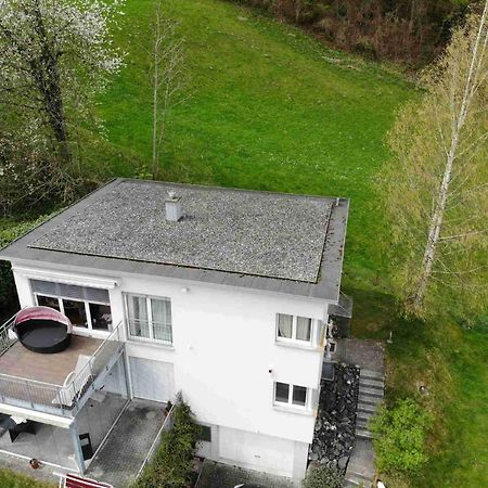 Alpen Panorama View Luxury House With Green Garden Buchs  Εξωτερικό φωτογραφία