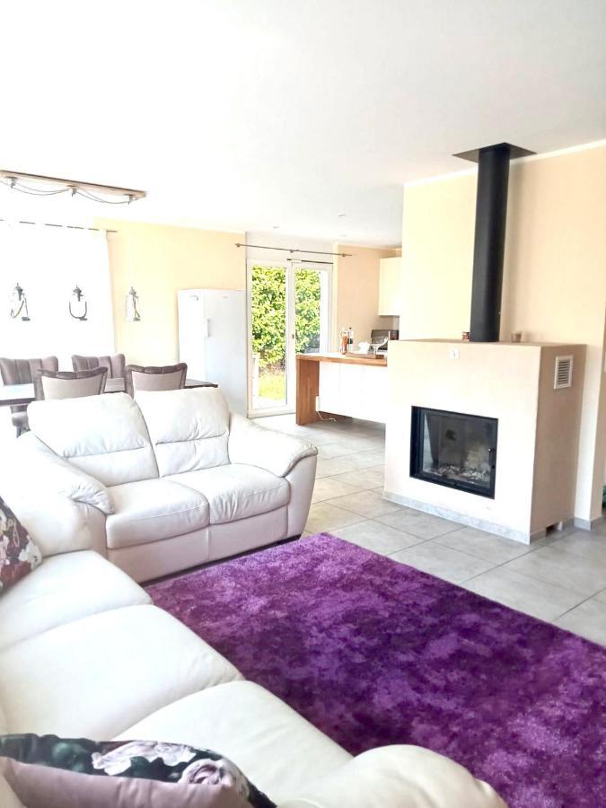 Alpen Panorama View Luxury House With Green Garden Buchs  Εξωτερικό φωτογραφία
